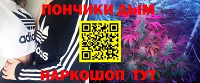 стафф Лесосибирск