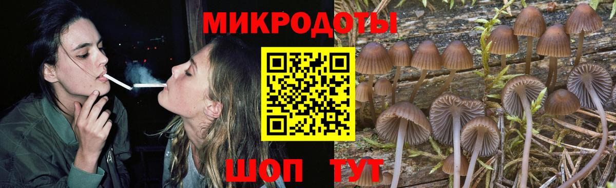 Златоуст  Псилоцибиновые грибы Magic Shrooms  Галлюциногенные грибы Psilocybine cubensis  Вход с VPN 